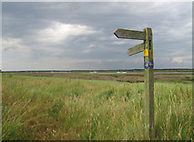 TM4455 : View near the River Alde by Dave Croker