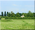 2009 : Pasture at Draycot Cerne