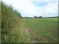 Footpath at Lightwood