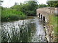 River Kennet: Stitchcombe bridge