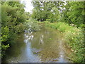 River Kennet at Stitchcombe (2)