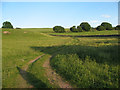 Track through a rural conservation area