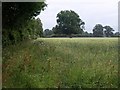 Field by the railway