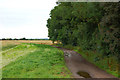 Looking south along farm track south of Burnt Heath Farm