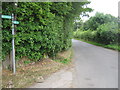 Tunbridge Wells Circular on Hawkenbury Road