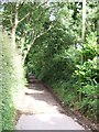 Footpath in Pennsylvania, Exeter