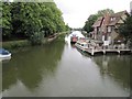 Looking down the river