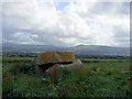 Trelyffant and Carn Ingli