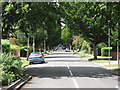 Cavendish Avenue: leafy suburb