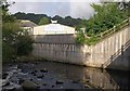 River Erme, Ivybridge