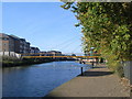 Looking along the canal