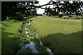 Downholland Brook at the beginning of Moss Lane