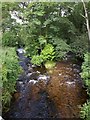 River Erme from Lower Keaton Bridge