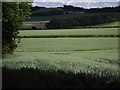 Fields near Morridgehall