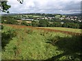 Field and view, Ivybridge