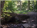 The Packhorse bridge, Graves Park