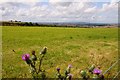 SP2930 : Looking across a grassy field towards near Little Rollright by Steve Daniels