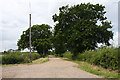 Track to Barningham Park