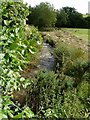 A stream at Bradwell which feeds into the river Caen at Knowle