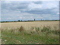 View over Agricultural Land towards Westfield Farm