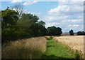 Footpath looking north