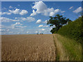 Field edge footpath