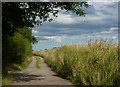 Start of the track to Impaugh Farm