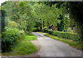 Through the trees on East End Road