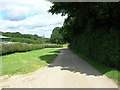 Track to  Painslack  Farm