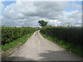 Road to Moss House Farm