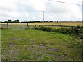 Fieldscape Near Hackett