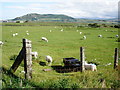 Fields, to the north of Tywyn