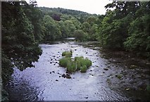 NS8246 : River Clyde above Crossford by Derek Harper