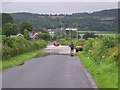 High River Tywi levels closes minor road (except for tractors)