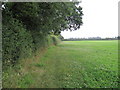 Footpath to Quarry Road