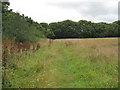 Footpath north of Willaston