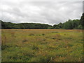 Farmland near Willaston