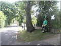 Sean the Leprechaun in Salterns Lane