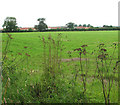 View across an empty pasture