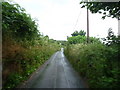 Dartmoor National Park : Country Road