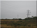 High voltage electricity pylons on Goss Moor