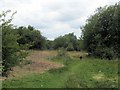 On Bayfield Plain, Bookham Common