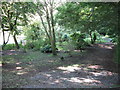 Woodland Footpath Near Pill Priory