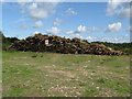 Log pile at Pollardshill Farm