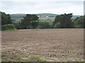 A fallow field on the Trewidden Estate