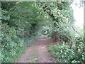 Bridleway west of Marlpost Farm