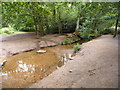 SZ0197 : Merley: footbridge over stream in Delph Woods by Chris Downer