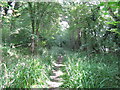 Footpath NE to Little Stammerham Farm