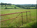 View across the fields, to Rosshayne Copse