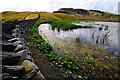 Dry Rigg quarry lake and slate wall